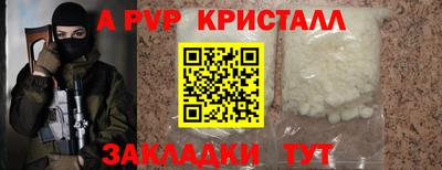 СК Шелехов