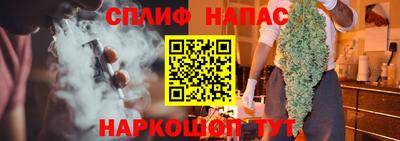 СК Шелехов