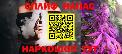 СК Шелехов