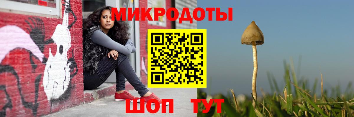 Асино  Псилоцибиновые грибы мухоморы  Вход с VPN  Галлюциногенные грибы Psilocybe 